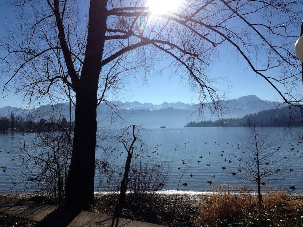 Villa Maria Lucern Exteriér fotografie
